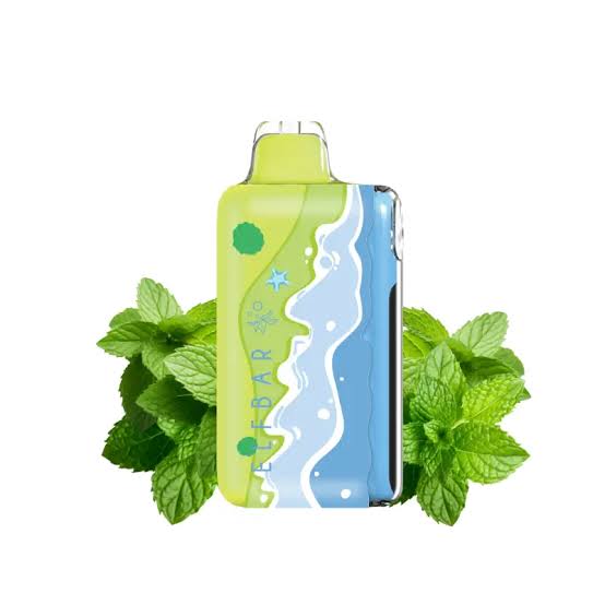 https://vapeshopsky.com/storage/photos/1/Products/Elfbar Ice king Triple Mint 40k Puff.jpeg